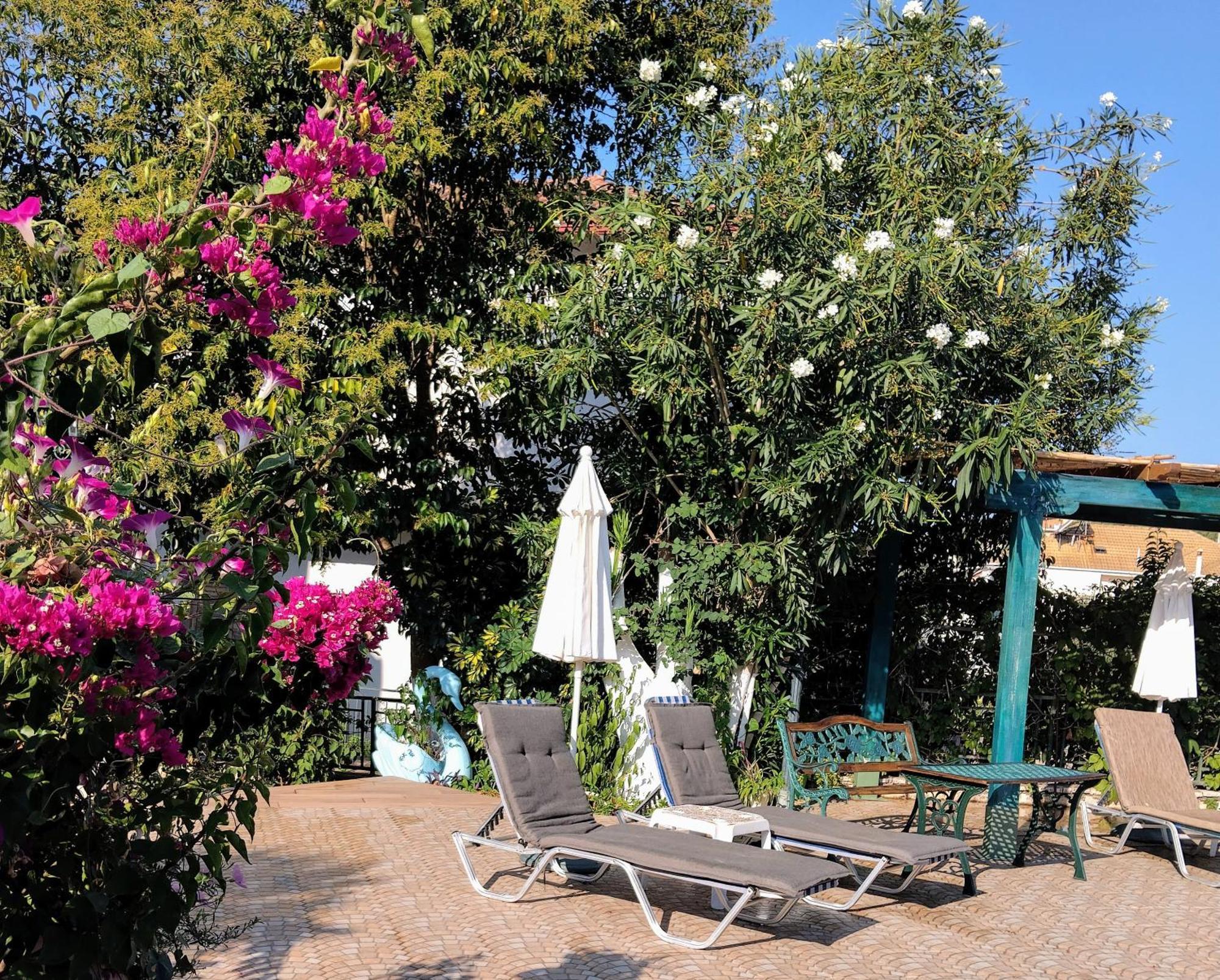 Harmony Resort 帕尔加 外观 照片
