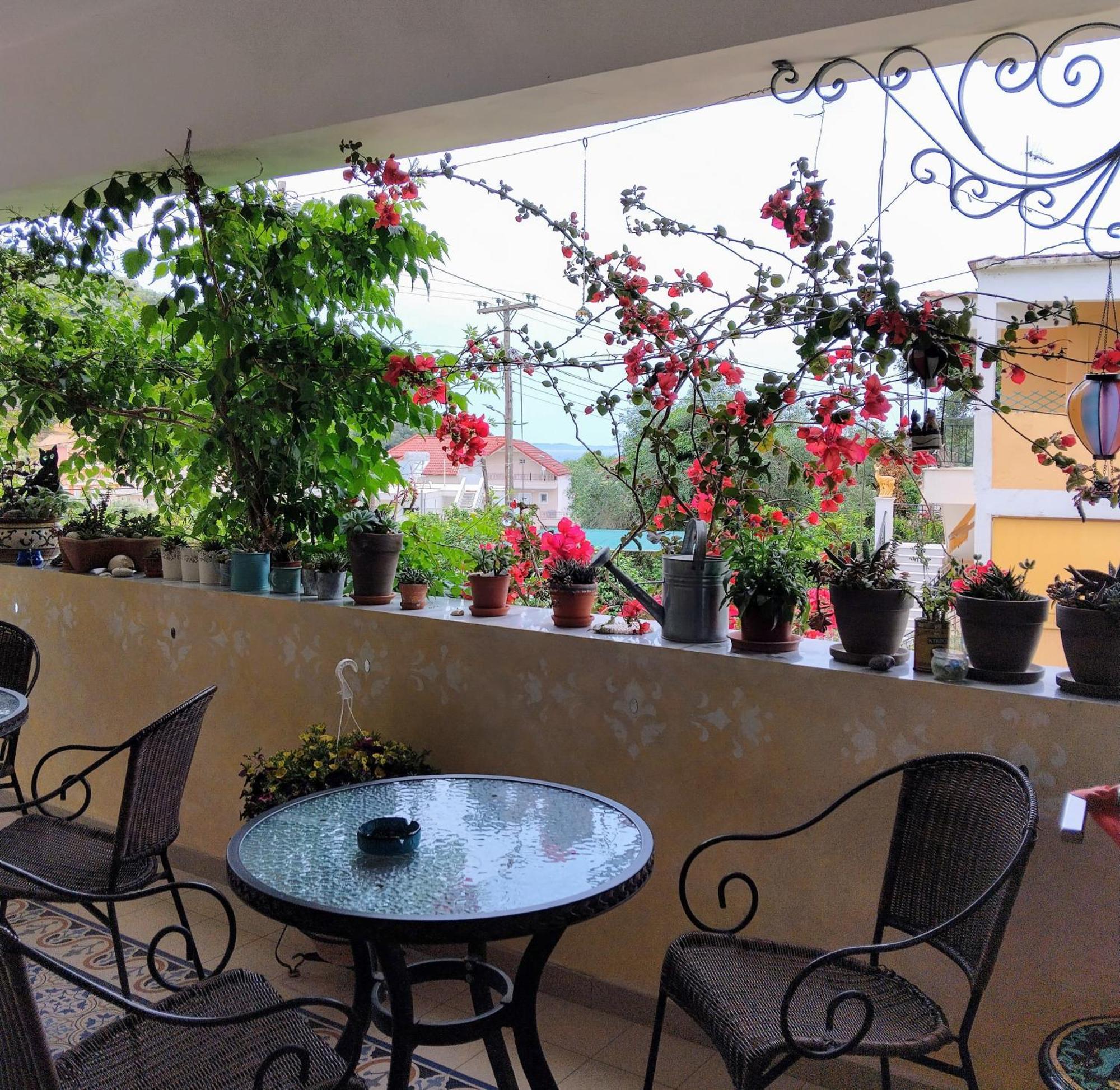 Harmony Resort 帕尔加 外观 照片