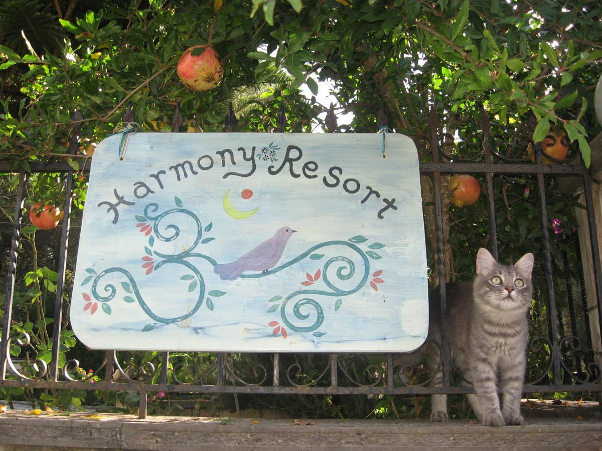 Harmony Resort 帕尔加 外观 照片